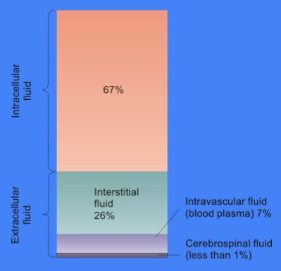 <p>Extracellular fluid filling the narrow spaces between cells of a tissue</p>