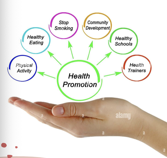 <p>Health promotion </p>
