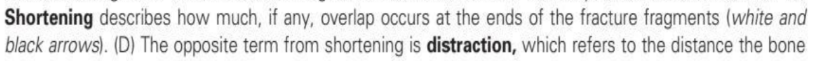 <p>shortening</p>