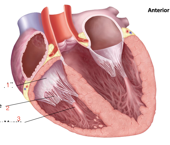 <p>1</p>