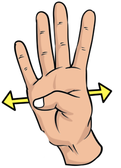 knowt flashcard image