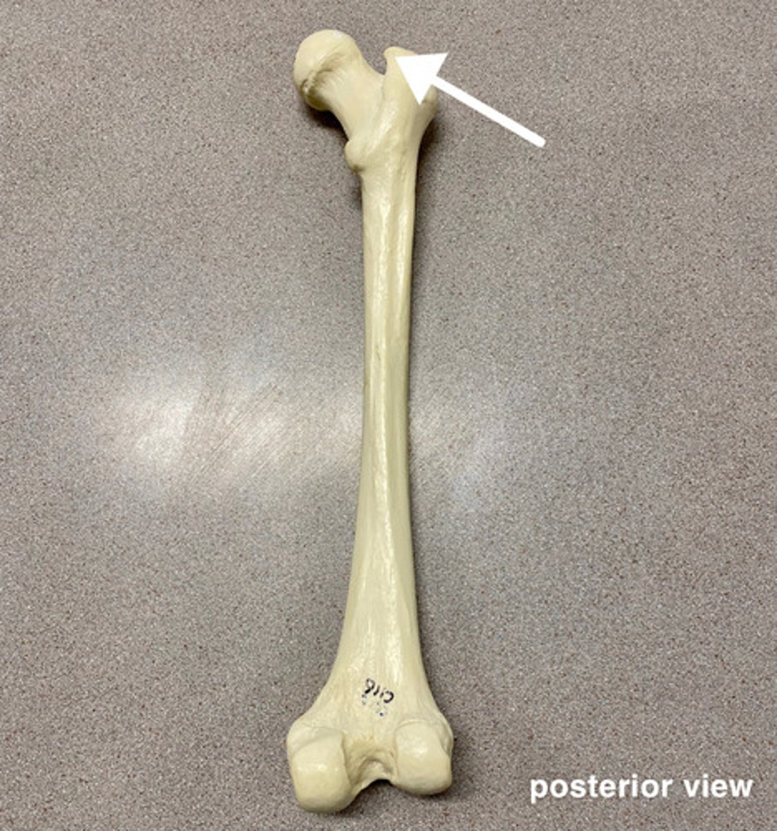 <p>What is this?</p>
