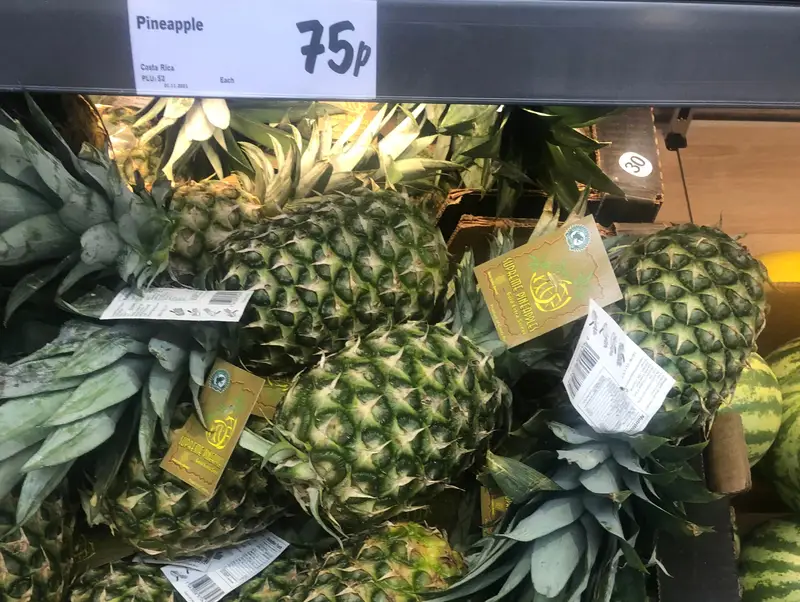 <p>pineapples 1ct</p>