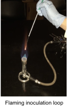 <p>Dry heat includes:</p><ul><li><p><strong>Direct flaming</strong></p></li><li><p><strong>Hot-air sterilization</strong></p></li></ul><p></p>