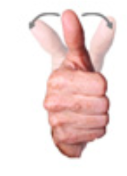 <p>palm facing out “thumbs up” and wiggle thumb/wrist side to side</p>
