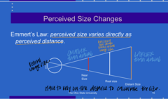 <p>What is Emmert's Law?</p>