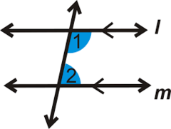 <p>Angles between the parallel lines and on the same side of the transversal</p>