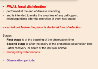 <p>What are the stages of focal disinfection?</p>