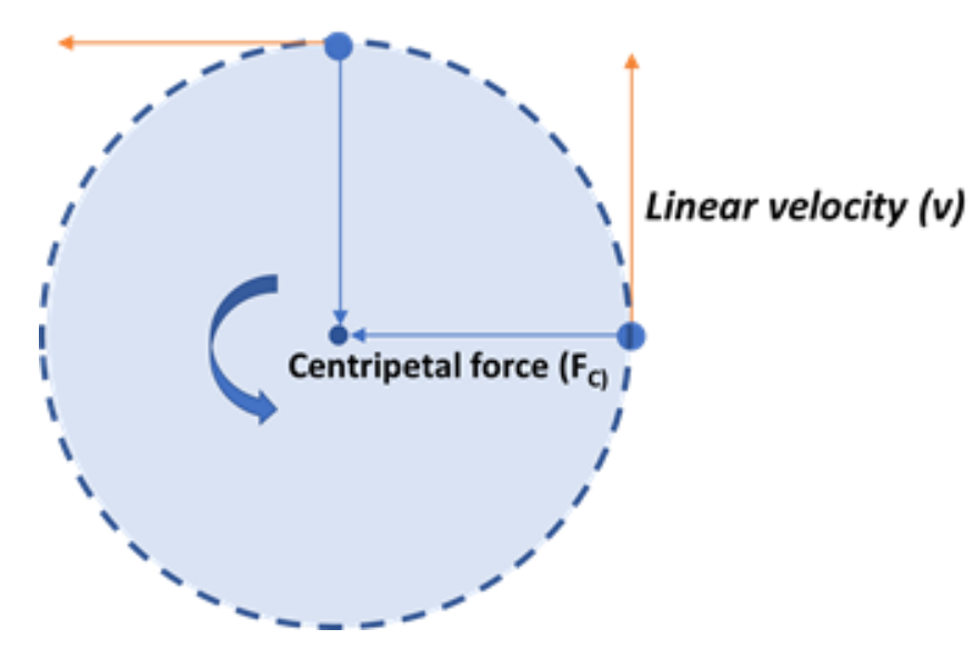 <ul><li><p>net force, velocity, and acceleration are all constantly changing because the object is changing directions</p></li><li><p>kinetic energy is constant in a uniform circular motion because the object’s speed is constant and does not change based on its position on the circular path</p></li></ul><p></p>