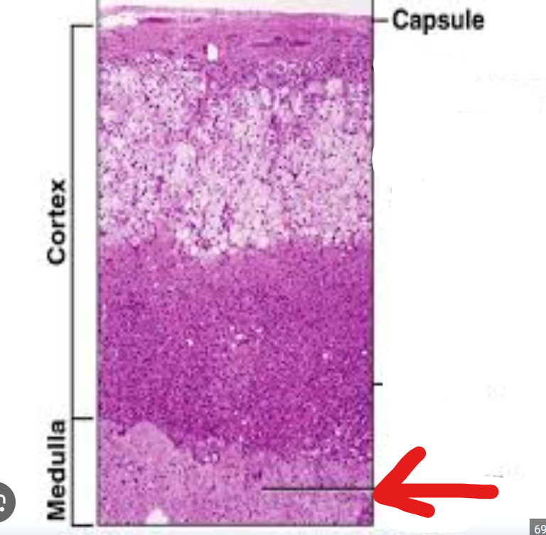 <p>What is labeled here?</p>