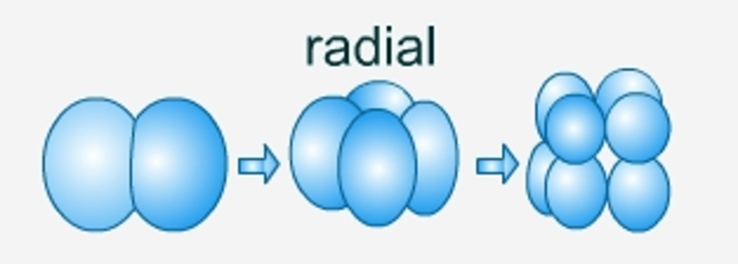 <p>aligned directly</p><p>above and below</p><p>each other</p>