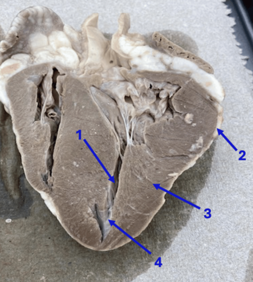 <p>1</p>