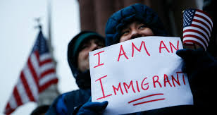<p>immigrant</p>
