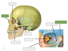 <p>Overview: this is the</p>