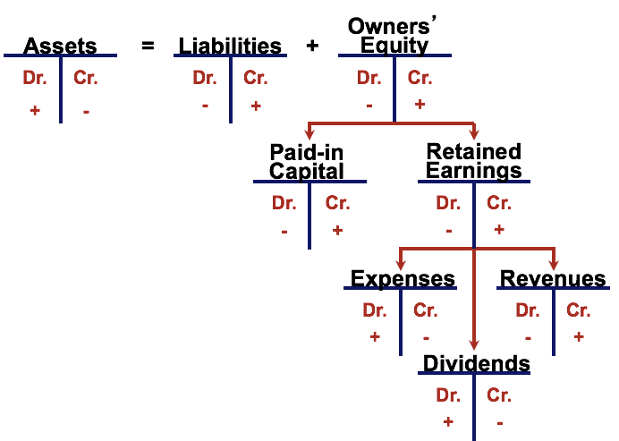 <ul><li><p>groups entries into separate accounts</p></li><li><p>shows current balances for assets, liabilities, equity, revenue, expenses</p></li><li><p>debits are always on the left, credits are always on the right</p></li></ul><p></p>