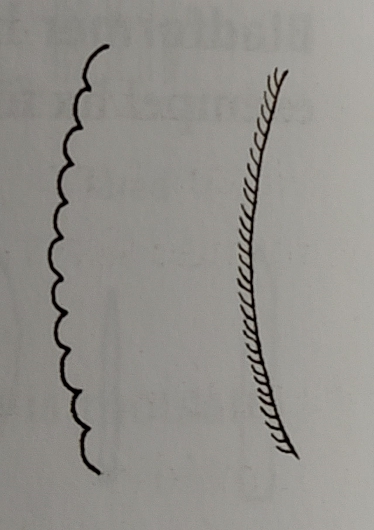 <p></p>