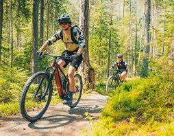 <p><span>đi xe đạp địa hình (leo núi) (cụm)</span></p><p>(Anh ấy thích đi xe đạp địa hình trong rừng.)</p>