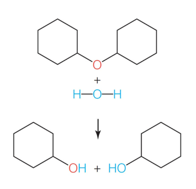 <p>water in your body breaks molecules into energy. a water molecule breaks a covalent bond from a polymer and breaks it into smaller pieces. (opposite of dehydration synthesis)</p>