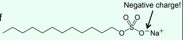 <ul><li><p><strong>SDS = Sosium dodecyl sulfate</strong></p></li><li><p>Estimating <strong>purity</strong> and <strong>molecular weight</strong></p></li><li><p><strong>Uses heat to denature proteins</strong> and gives <strong>large negative </strong>charge</p></li></ul><p></p>