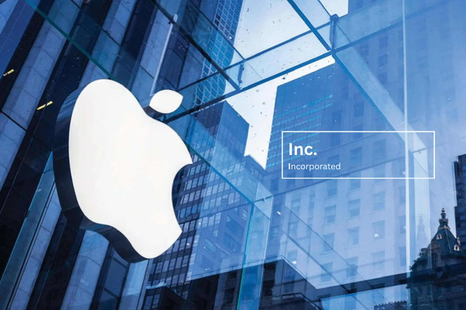 <p><span>corporation</span></p>