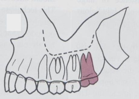 <p>what classification is this?</p>