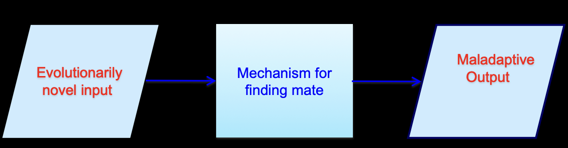 <p>What is the evolutionary novel/mismatch model?</p>