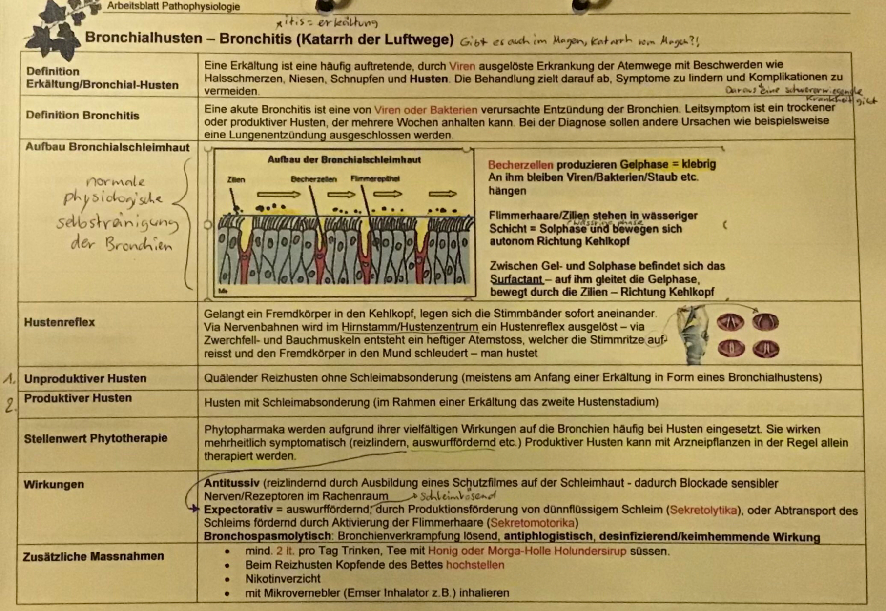 knowt flashcard image