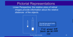 <p>A 1/2 size pencil (see pic) will look (twice/half) as far away</p>