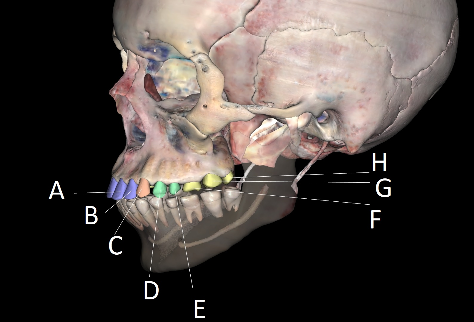 <p>A</p>