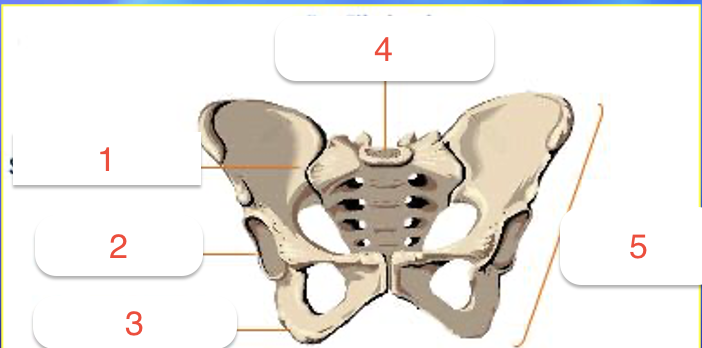 <p>what is #5?</p>