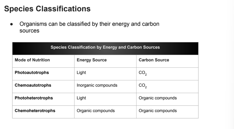 <ul><li><p>Energy source: <strong>Light</strong></p></li><li><p>Carbon Source: <strong>Organic Compounds</strong></p></li></ul><p></p>