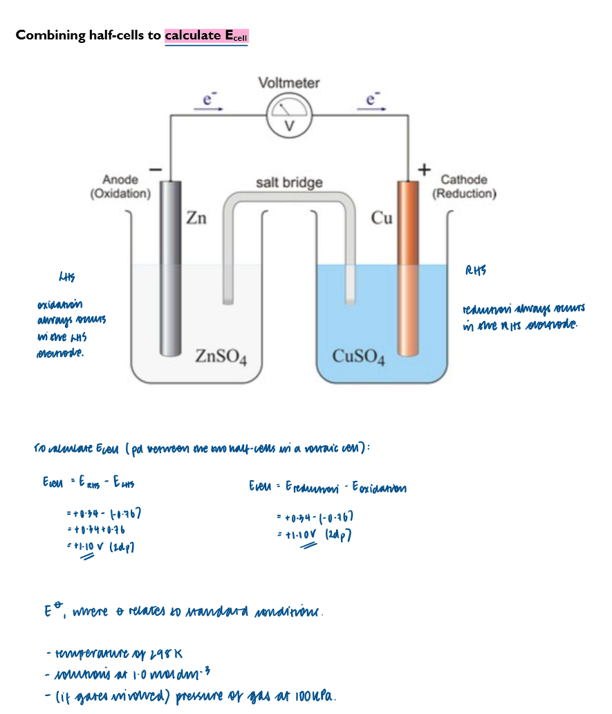 knowt flashcard image