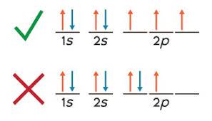 <p>Electrons fill degenerate (equal-energy) orbitals singly with parallel spins before pairing up — minimises repulsion.</p>