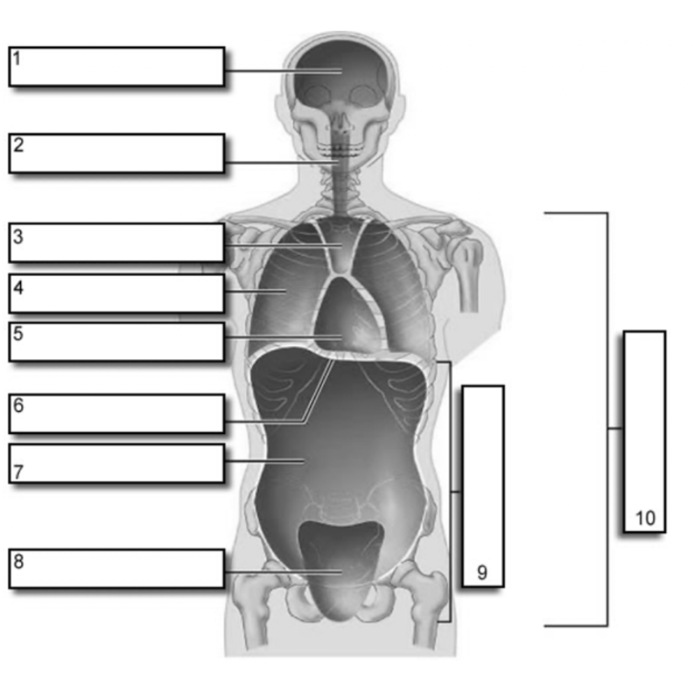 <p>#4</p>