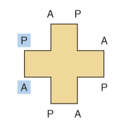 <p>What type of porphyrin is this?</p>