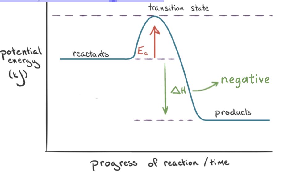 <p>• in an exothermic reaction, the reactants are at a higher energy</p><p>level compared to the products</p>
