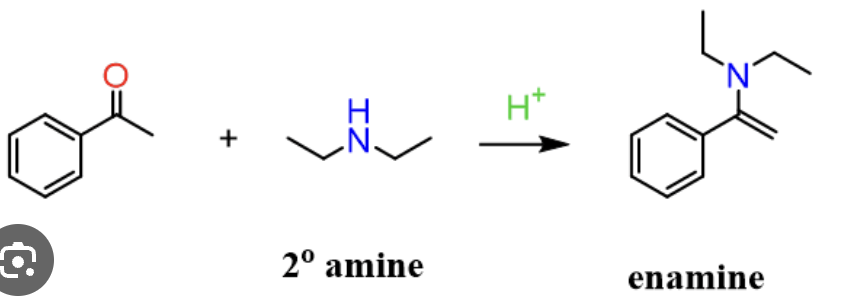<p>[H+]</p><p>R<sub>2</sub>NH</p><p>-H<sub>2</sub>O</p>