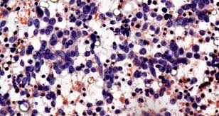 <p><strong>Modicum </strong></p>