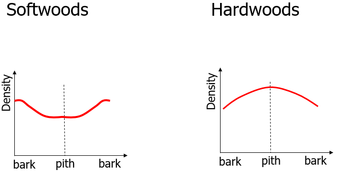 <ul><li><p>Influence of age is clearer than on vertical axis</p></li><li><p>SW juvenile &amp; very old wood has low density</p></li><li><p>HW density is greatest around pith (extractives)</p></li></ul><p></p>