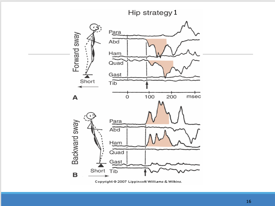 <p>_______</p><p><span>NOTICE THE ANKLE IS QUIET</span></p><p style="text-align: left;"><span>They are not using the ankle which is why we go to hip strategy</span></p>