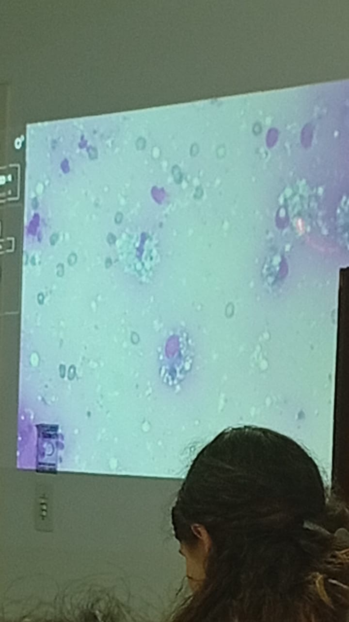 term image