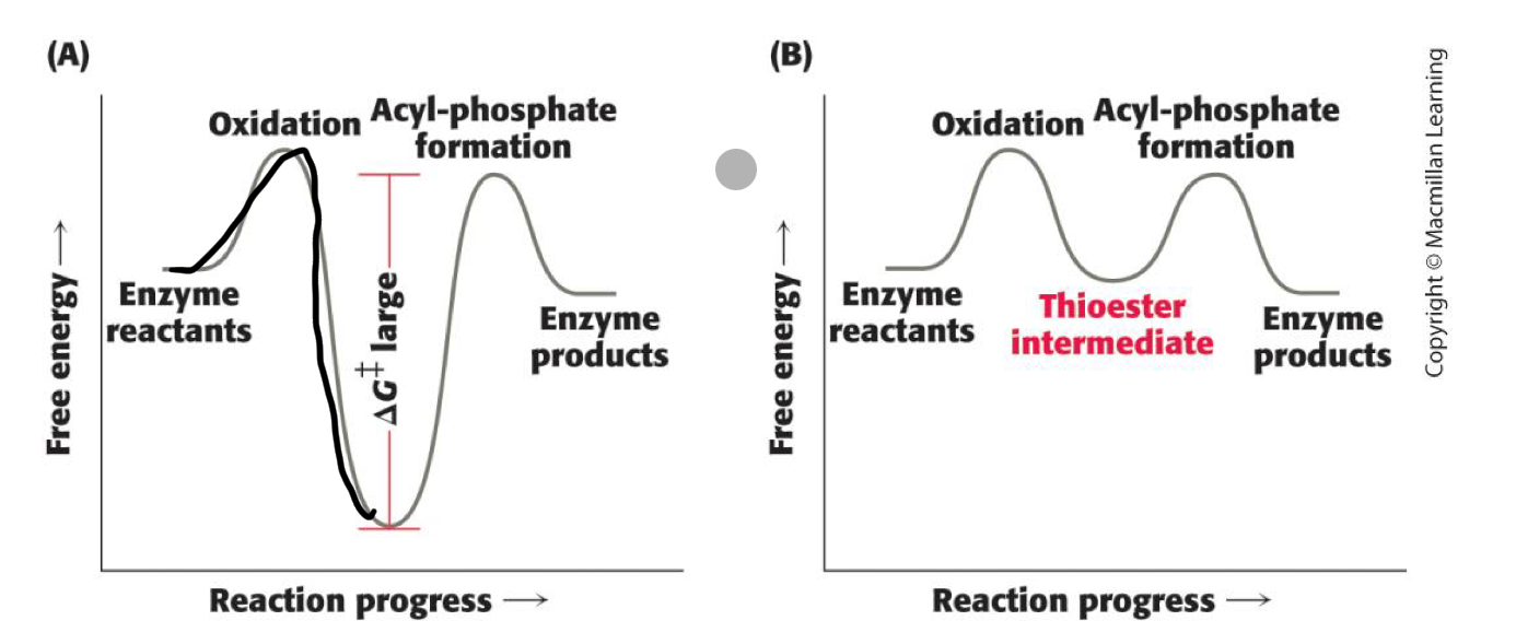 <p>the first one shows no coupling while the second one is the actual case with coupling. without coupling, there is a large activation barrier, making the reaction very slow</p>