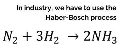 <p>Nature: Nitrogen-fixing organisms convert nitrogen gas to ammonia (Nitrogen fixation by diazotrophs)</p><p>Industry: Haber-Bosch process (Nitrogen gas → ammonia = base of fertiliser) </p>