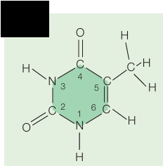<p>What molecule is this?</p>