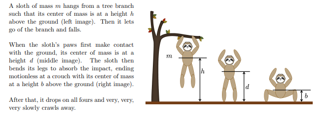 <p>Use the energy principle on the real (multiparticle) system to determine the change in the internal energy of the sloth during landing.</p>