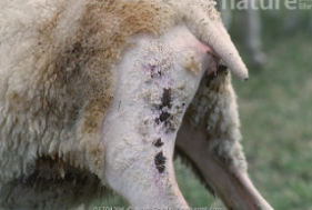 <p>whats wrong</p>