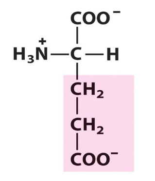 <p>What amino acid is this? </p>