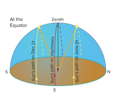 <p>At the equator, the Sun rises straight from the horizon, but reaches the zenith only at the equinoxes.</p><ul><li><p>The Sun only reaches the zenith twice a year at the tropical regions</p></li></ul><p></p>