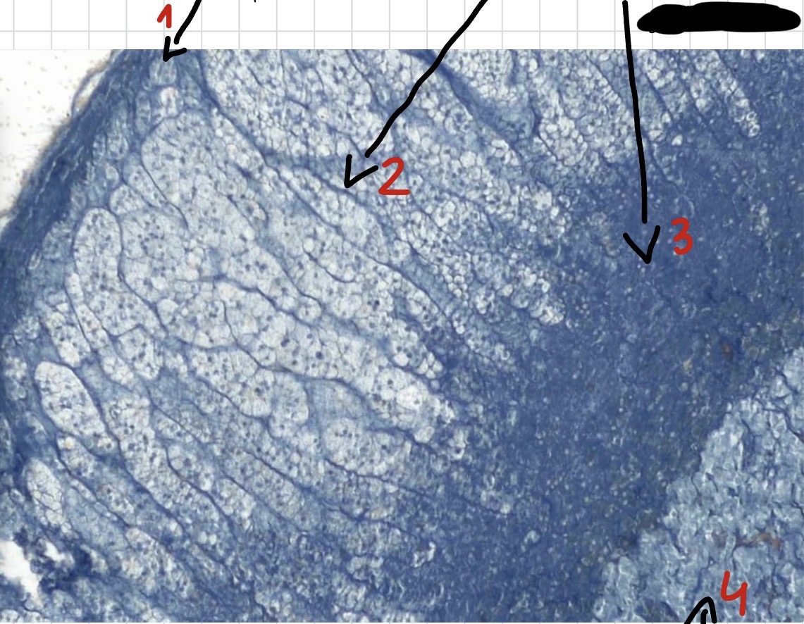 <p>4</p>