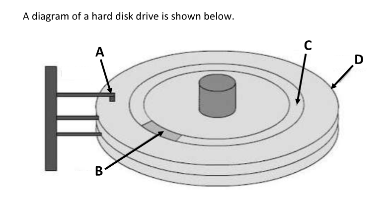 term image